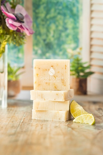 Savon à barbe doux au citron soin rasage doux et recharge