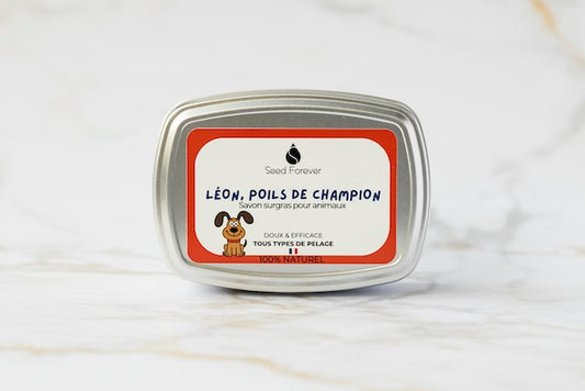 Savon naturel pour chien avec de l'huile de coco et l'huile de neem disponible en recharge