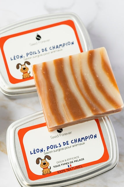 Savon solide doux naturel pour chien fabriqué par Seed Forever