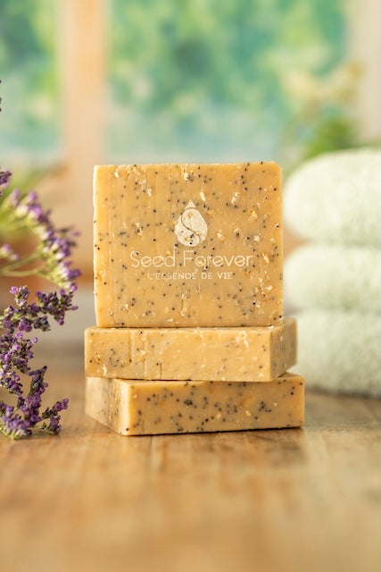 savon surgras Marcel fabriqué par Seed Forever à Lyon