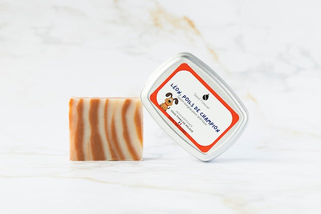 Savon surgras pour chien naturel et rechargeable Léon fabriqué par Seed Forever