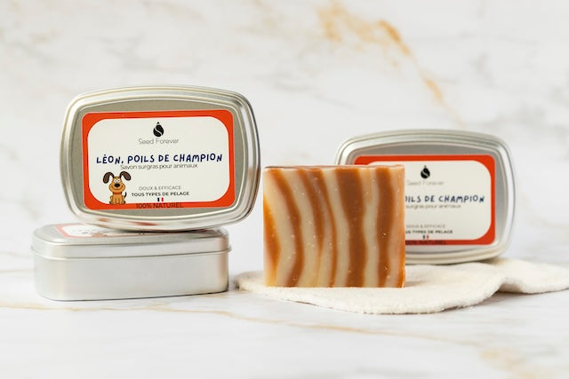 Savon doux pour chien pour une hygiène naturelle fabriqué par Seed Forever à Lyon