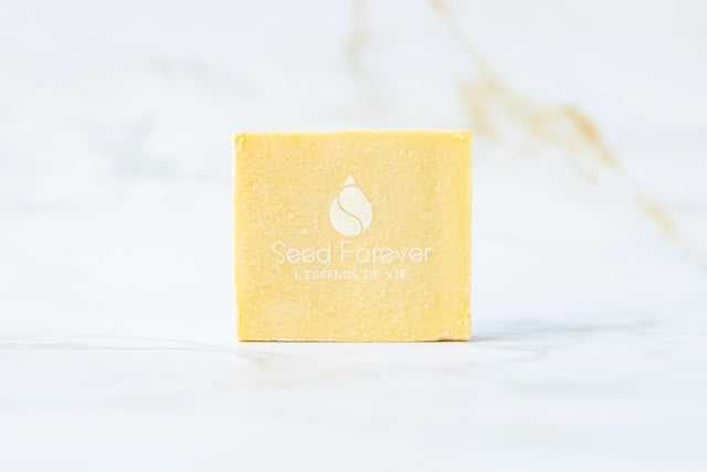 Savon naturel à la figue pour une peau douce adapté à toute la famille recharge disponible