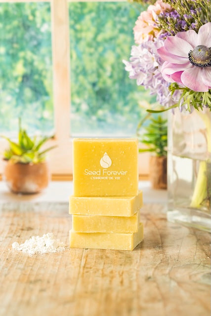 Savon solide au jojoba soin pour peau grasse