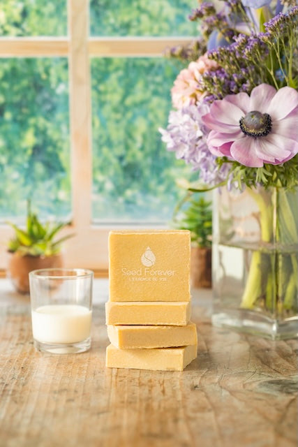 savon surgras à la figue avec une mousse généreuse