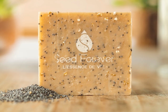 savon surgras macadamia Macel pour un gommage doux fait main