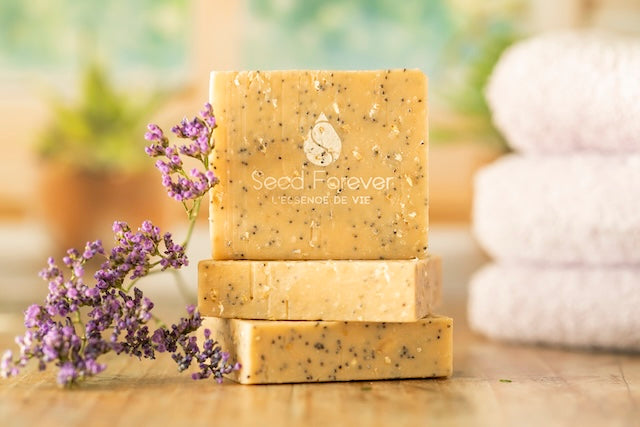 Savon surgras pour un usage quotidien visage et corps