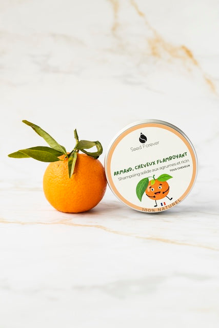 Shampoing solide naturel soin pour tous cheveux 