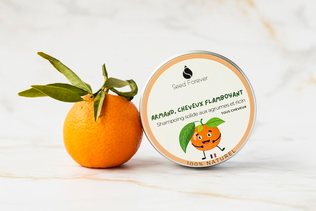 Shampoing solide naturel artisanal recharge fait main à Lyon